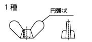 ibgP̌`