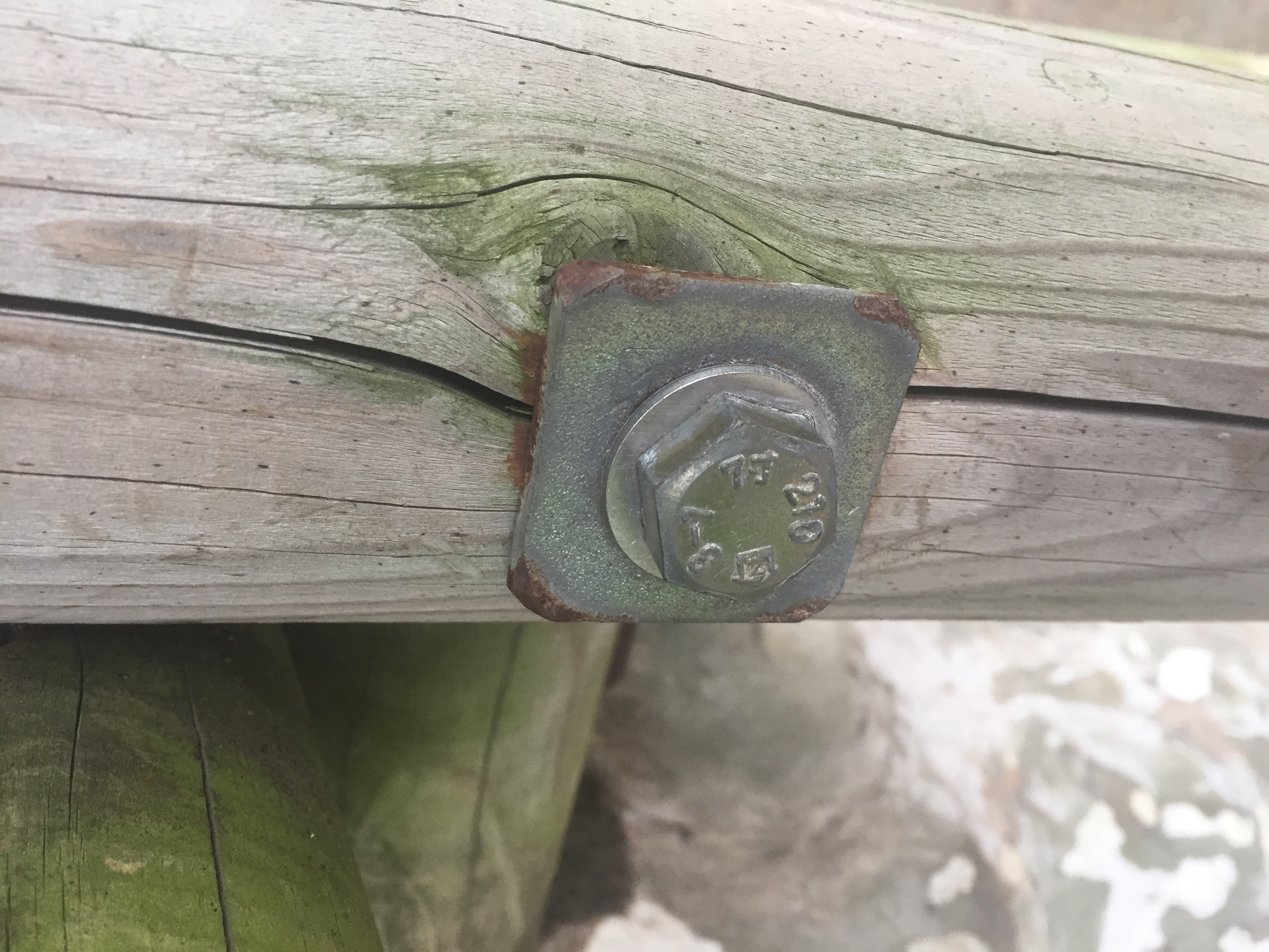 �p�����i�p���b�V���[�j�̎g�p��