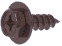cg_tappin_tetu08.gif (805 oCg)