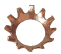 cg_zagane30.gif (755 oCg)